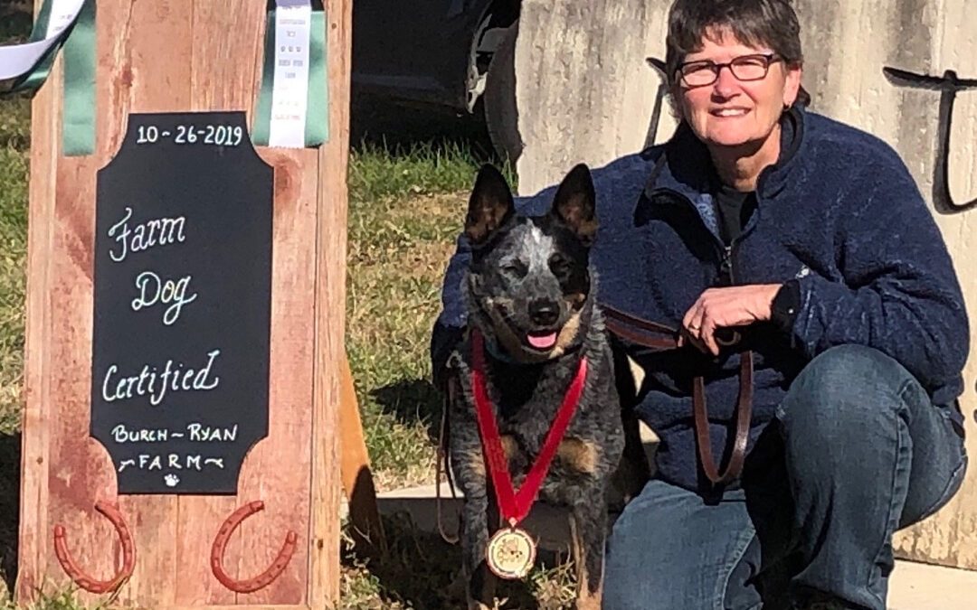 Dipping Into Competitive Sports